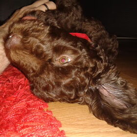 Effe gek doen