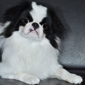 knappe vent toch??