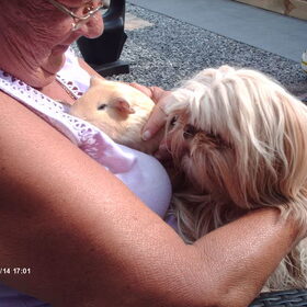 oma had een caafje op schoot en ja hoor daar wilde luna ook…