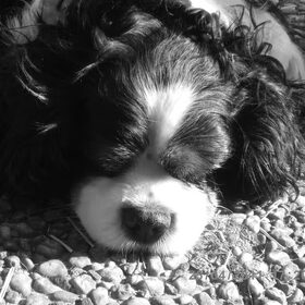 Sleeping