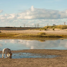 Wat is het strand toch groot..