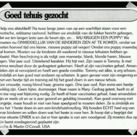 Met SPOED goed thuis gezocht!!
