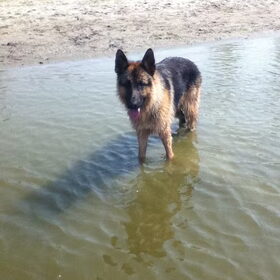 lekker spelen in het water