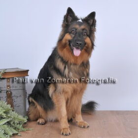 fotoshoot shiva