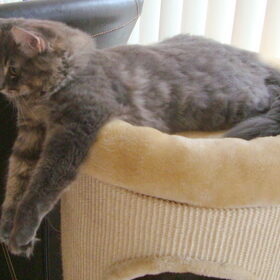Even relaxen!