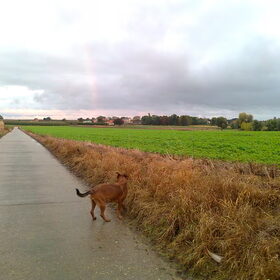 Regenboog (2) okt 2012