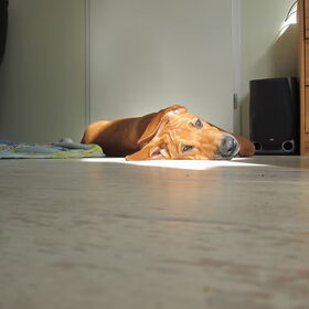 als de zon dan NAAST mijn kleedje valt, verschuif ik gewoon!