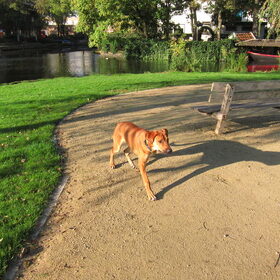 in het park