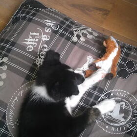 met mn pieped!