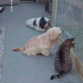 Wat een familie is het toch.