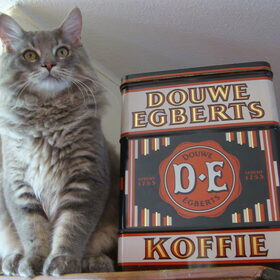 Lekker bakje koffie..