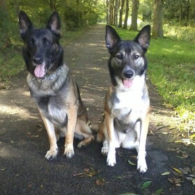 Mika met haar vriendje Rocky. Ze zijn gek op elkaar. 15-10-2012