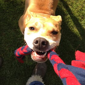 smile
