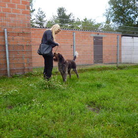 Ik en lieve Frisko