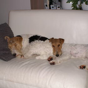 Heerlijk samen slapen...
