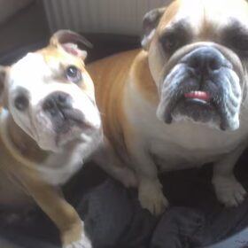 samen in de mand lekker warm