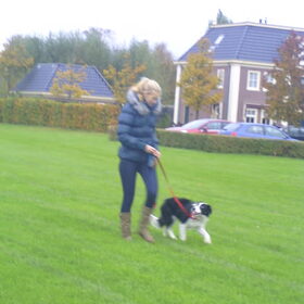 Ik hou het baasje goed in de gaten!