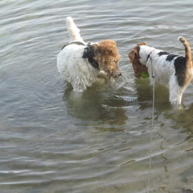 Samen in het water spelen!
