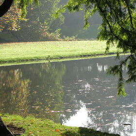 Mooie contrastfoto.