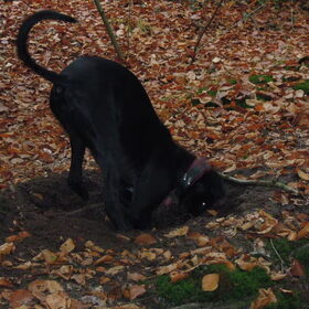 herfst 2012