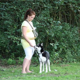 Hondenfoto van Kelly (L) Quila (L) Zaza