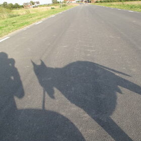 Hondenfoto van Hannah & Bink† en Beertje