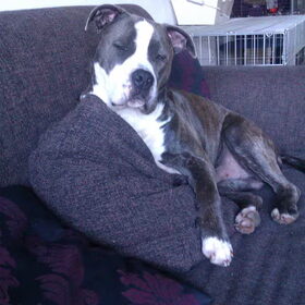 Relaxen op de bank