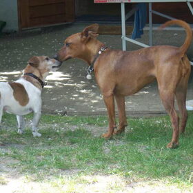 Spikey & Zohra