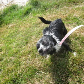 en schudden maaaar :p