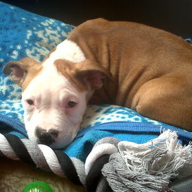 Toen was ze 9 weekjes oud :)