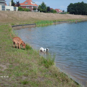 knap hoor dat turbo al zover in het water durft.