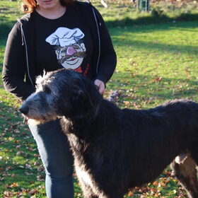 hondje. :)