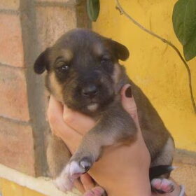 Baby MILA.
