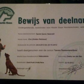 Diploma basiscursus van Evy. Helaas wel de verkeerde naam.
