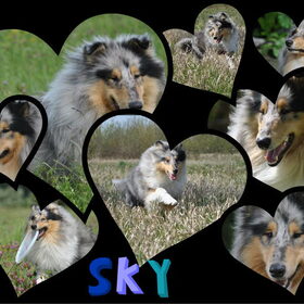 sky collage hartjes
