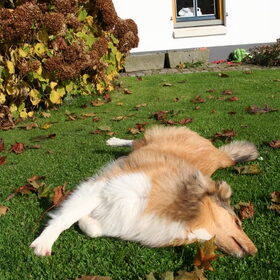 Lekker herfst zonnetje @ 29 weken