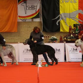 higgins en ik, show mol, derde plaats.