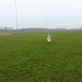 Lotje en Kwibus samen los op het voetbalveld. Lotje komt netjes…