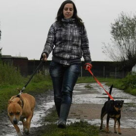 Op wandel met Laika en Babs