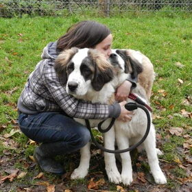 Samen met de 2 Moscow Watchdog pups, Magic en Zita