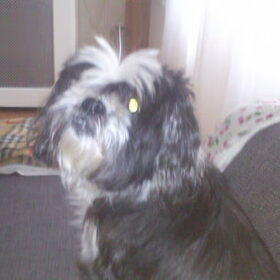 Ach moppie wat mis ik je toch! X