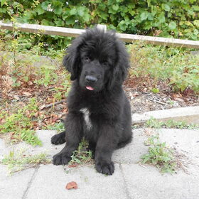 Raya toen ze 9 weken was. Haar eerste foto!