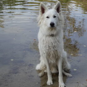 lekker in 't water !