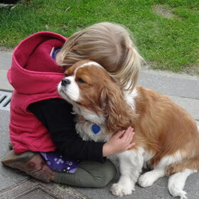 liefde is ...