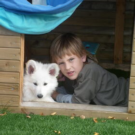 Hondenfoto van Witte-Herder-en-Co