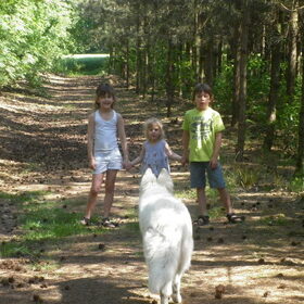 Hondenfoto van Witte-Herder-en-Co