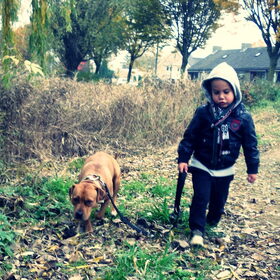 Hondenfoto van Chre & Djago & Anisa & Elvis