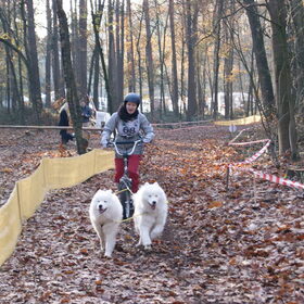 Wedstrijd hardenberg team ArZa