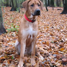lekker los in het bos!!