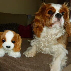 Ella met een look-a-like ;-)
